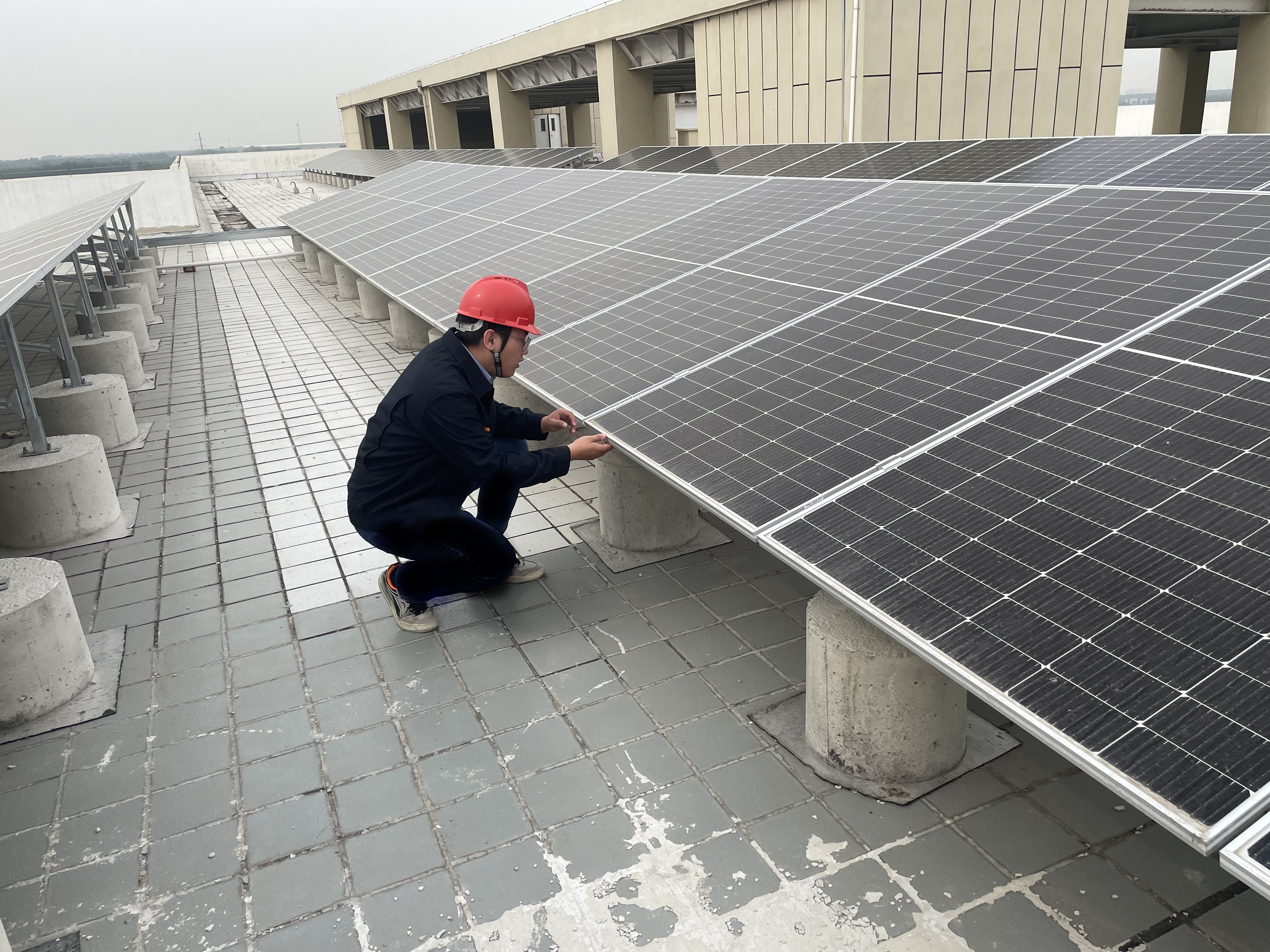 97622��������Ʒ��(�й���)-�ٷ���վ