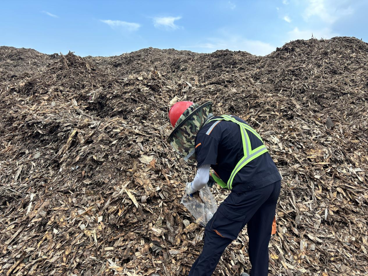 97622��������Ʒ��(�й���)-�ٷ���վ