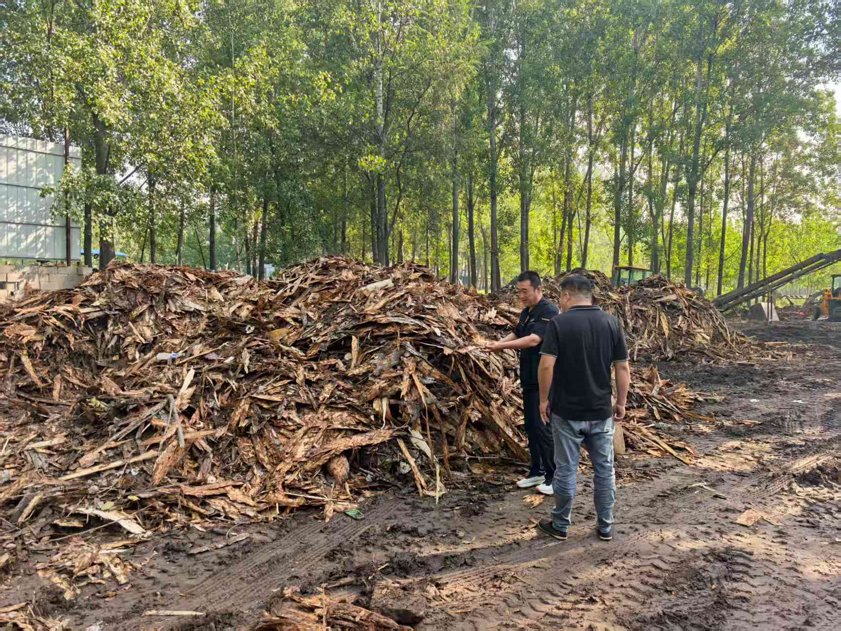 97622��������Ʒ��(�й���)-�ٷ���վ